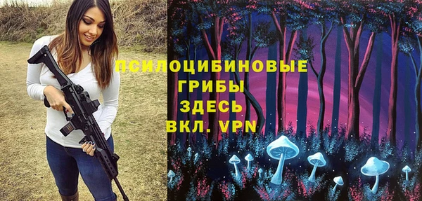сатива Алексин