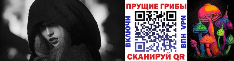 Галлюциногенные грибы GOLDEN TEACHER  где найти наркотики  Шадринск 