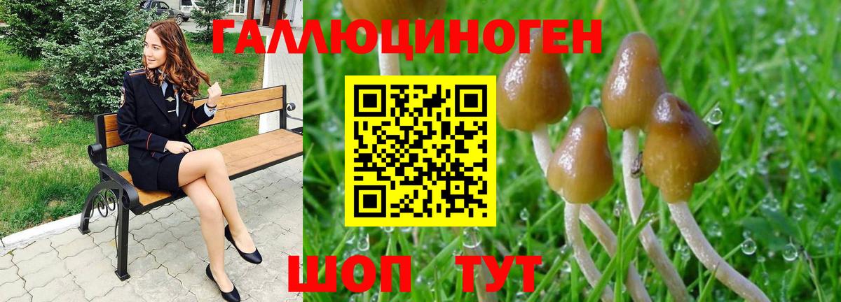 Псилоцибиновые грибы Psilocybe  Галлюциногенные грибы ЛСД  Шадринск  сколько стоит  Вход с VPN 