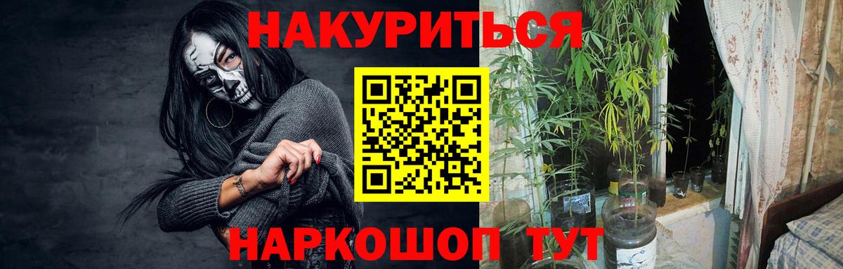 Канабис сатива Шадринск
